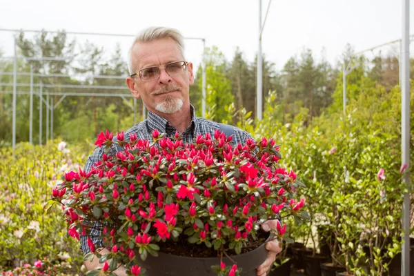 Jardinier portant des lunettes et un costume tenant un grand vase avec des fleurs — Photo