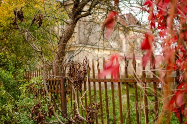 Rengarenk yaprakları olan kırsal bir çit. Huzurlu doğa, klasik his, arka plan için uygun.