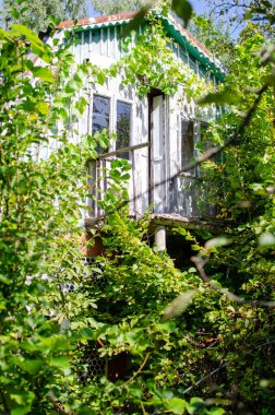 Pek çok yeşillikle kaplı, pek ıssız bir kulübede. Huzur ve gizemi çağrıştırıyor. Doğa temaları için ideal