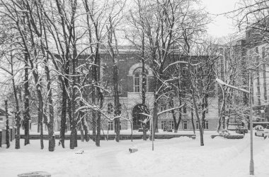 Monokrom sahnesinde çıplak ağaçlar ve arkasında bir bina manzarası olan karla kaplı bir park yer alıyor.