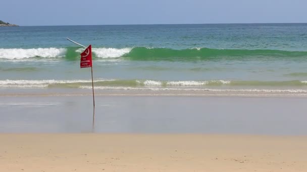 Säkerhet flagga på stranden — Stockvideo