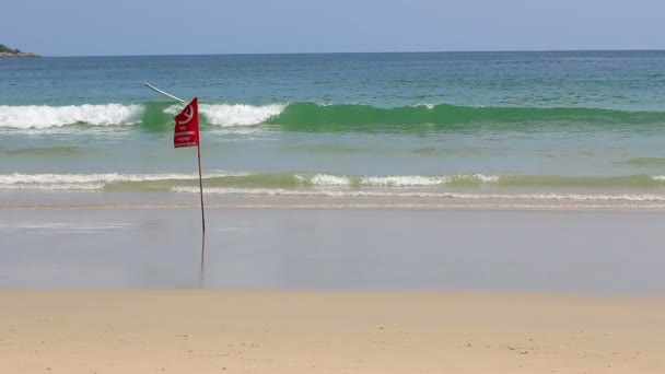 Sicherheitsfahne am Strand — Stockvideo