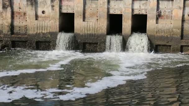 Schmutzwasser fließt. — Stockvideo