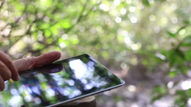 Close-up of male hands using a tablet. — Stock Video