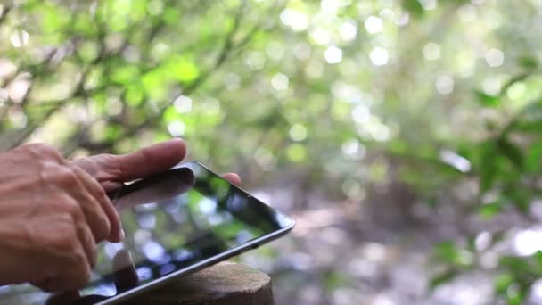 Close-up of male hands using a tablet. — Stock Video