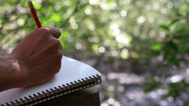 Écriture dans la nature fond . — Video