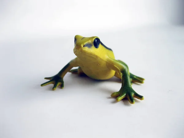 Toy Frog White Background — Stock Photo, Image