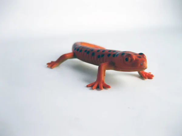 白色背景的玩具蜥蜴 — 图库照片