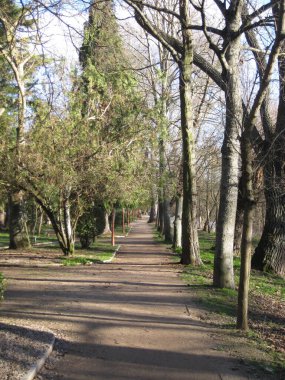 Şehirdeki yürüyüşler ve parklar.