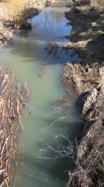 Kıyısında sonbahar ormanı olan bir nehir..