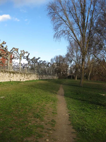 Şehirdeki Yürüyüşler Parklar — Stok fotoğraf