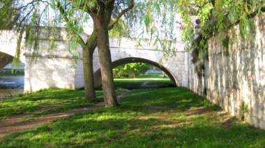 Baharda bir nehrin kıyısında.