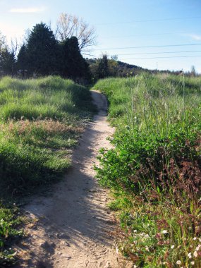 Yeşil tarlalardan geçen yollar.