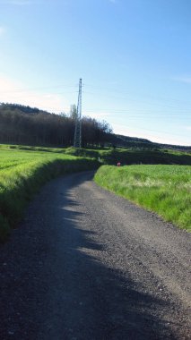 Yeşil tarlalardan geçen yollar.