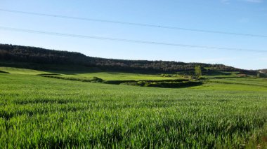 Baharda manzara ve ekilmiş tarlalar.
