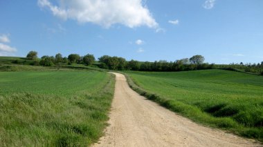 Yeşil tarlalardan geçen yollar.