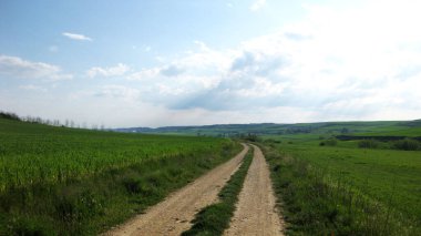 Yeşil tarlalardan geçen yollar.