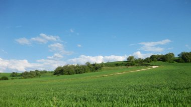 Baharda manzara ve ekilmiş tarlalar.