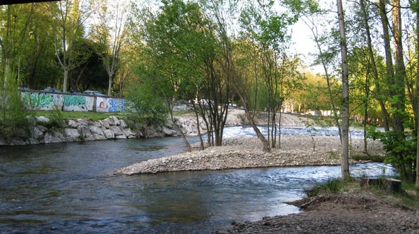 Las Orillas Del Río Primavera — Foto de Stock