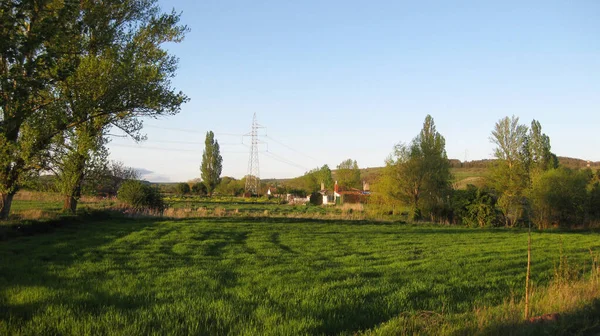 Landschap Bebouwde Velden Het Voorjaar — Stockfoto