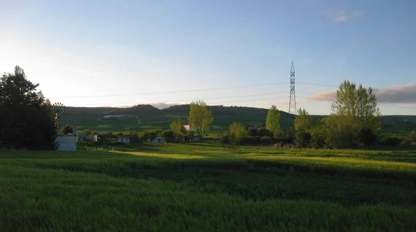 Landschap Bebouwde Velden Het Voorjaar — Stockfoto