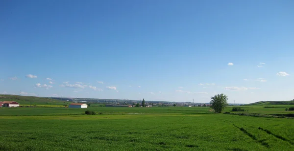 Landschaft Und Bestellte Felder Frühling — Stockfoto