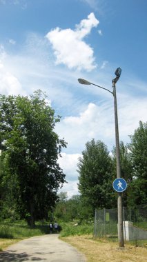 Bir tarlanın verimli ormanları.