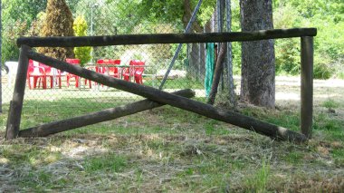 Bir tarlanın verimli ormanları.