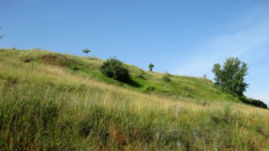 Yeşil çayır ve vadilerin arka planı.