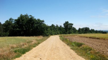 Toprak yollu bahar manzaraları.