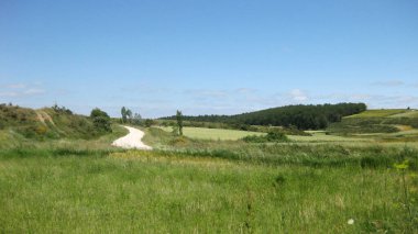 Yeşil çayır ve vadilerin arka planı.