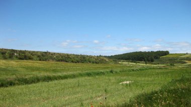 Yeşil çayır ve vadilerin arka planı.