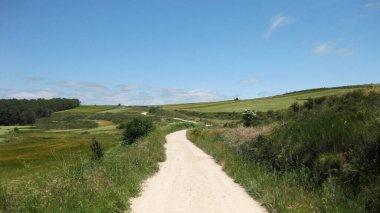 Toprak yollu bahar manzaraları.