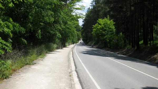 Caminos Través Exuberantes Bosques —  Fotos de Stock