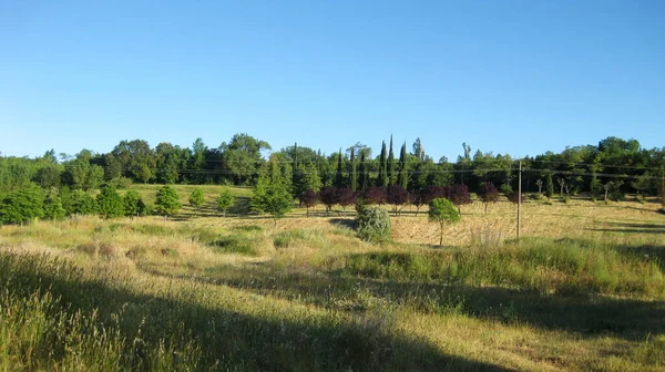 Primavera Verde Paisagens Fundo — Fotografia de Stock