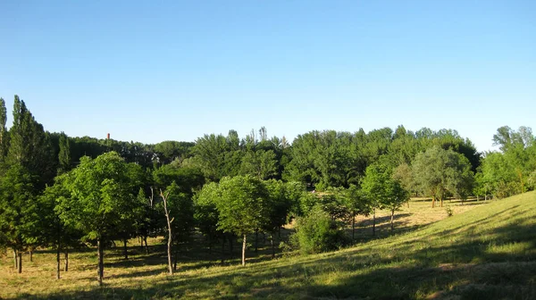 Grüne Frühlingslandschaften Hintergrund — Stockfoto