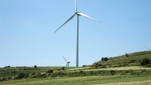 Windmühlen Einer Grünen Landschaft — Stockfoto