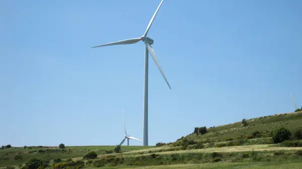 Windmühlen Einer Grünen Landschaft — Stockfoto