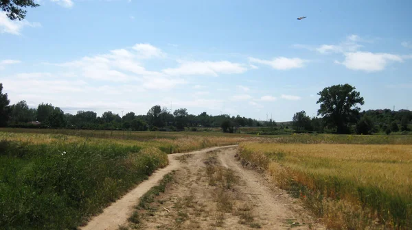 Contexte Des Prairies Verdoyantes Des Vallées — Photo