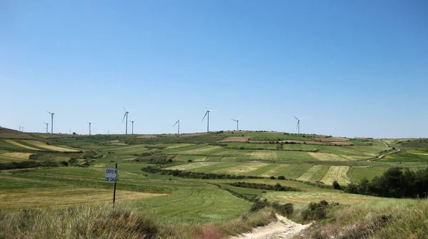 Frühlingslandschaften Mit Feldwegen — Stockfoto