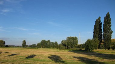 Tarlalar ve ağaçlar.