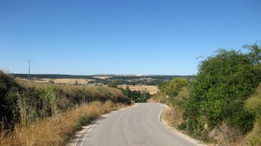 Yolları olan tarlaların manzarası.