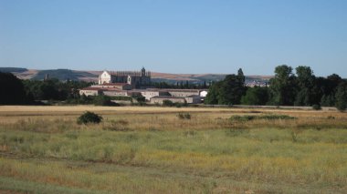 Yazın ekilen tarlalar.