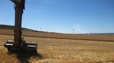 Yazın ekilen tarlalar.