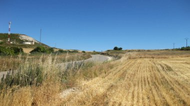 Yazın ekilen tarlalar.