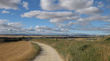 Yolları olan tarlalar.