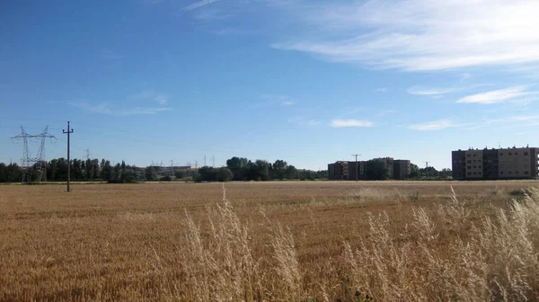 Campi Coltivati Alberi — Foto Stock