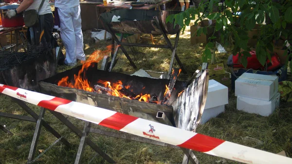 Barbecue Picnic Field — Stock Photo, Image