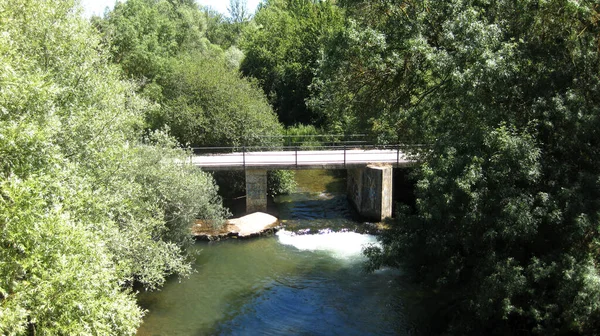 Ponte Que Cruza Rio Entre Florestas — Fotografia de Stock