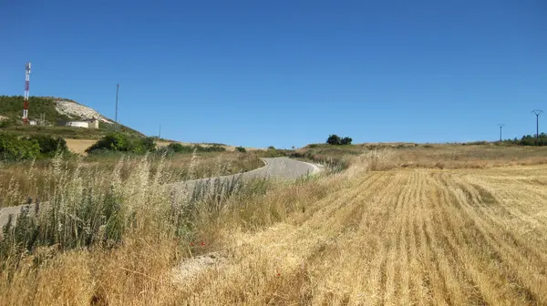 Campi Coltivati Estate — Foto Stock